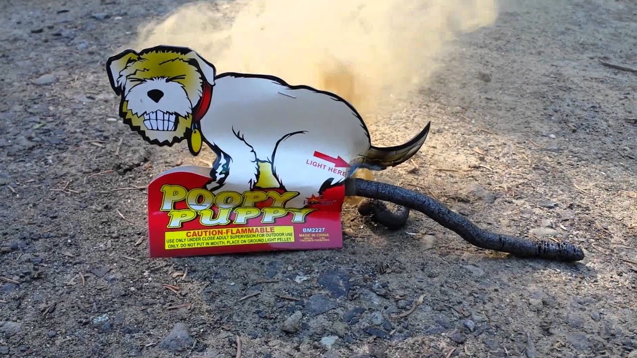 POOPY PUPPY FIREWORK