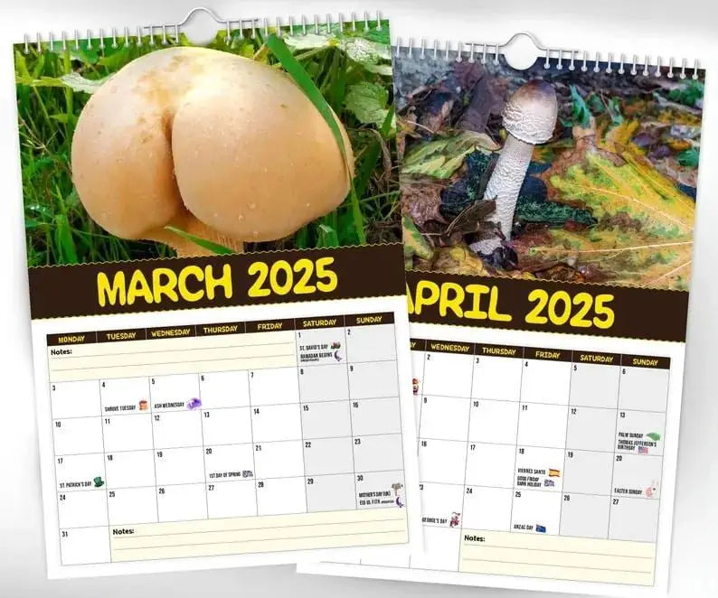 World's Greatest Mushrooms 2025 Calendar Trendslana