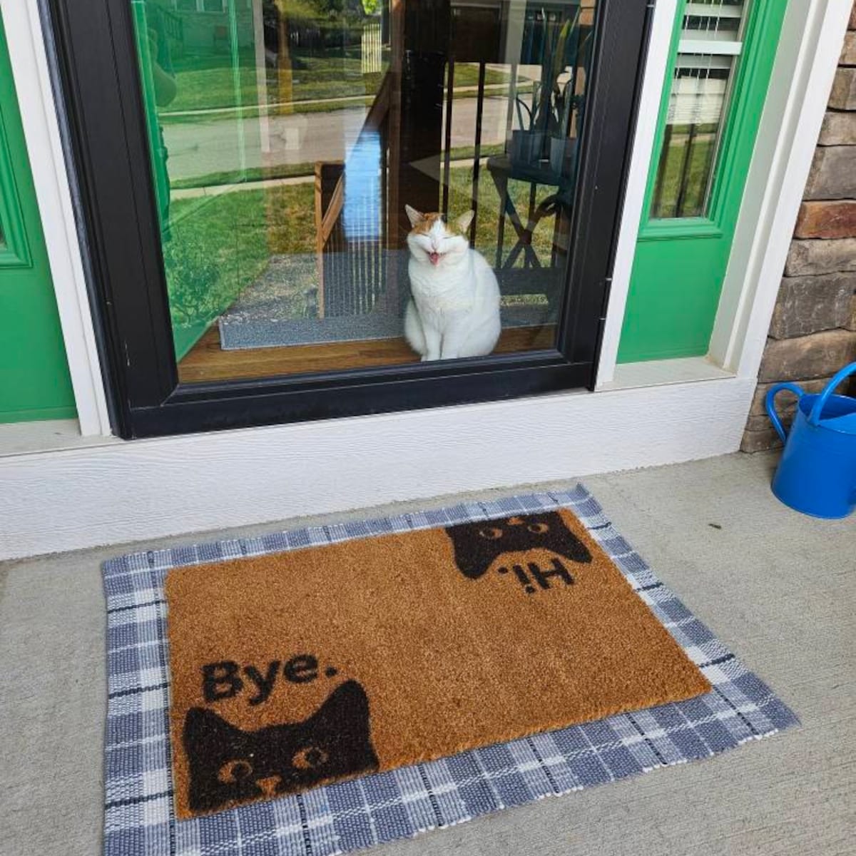 Hi Bye Cat Doormat