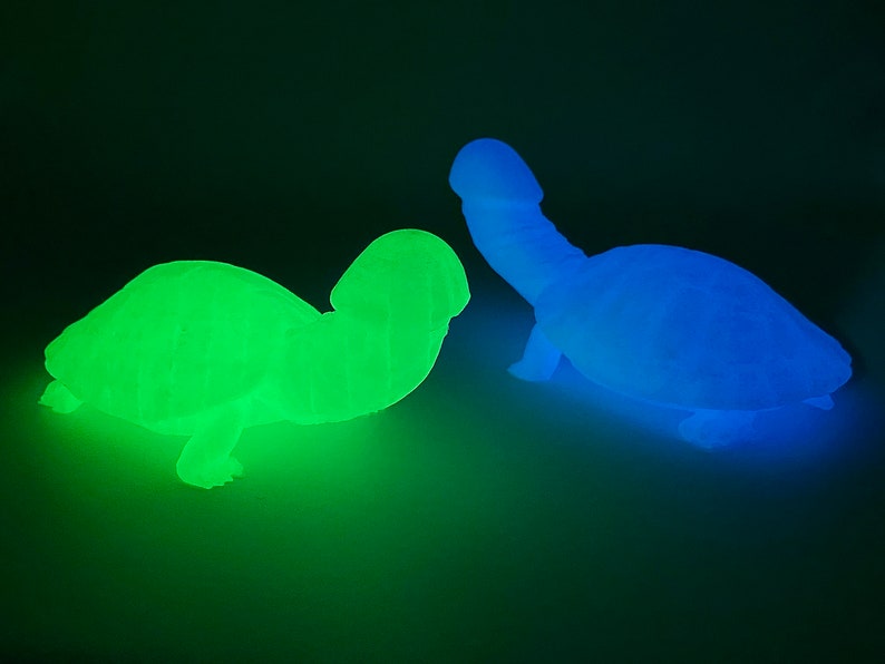 Glow in Dark Dickatortoise