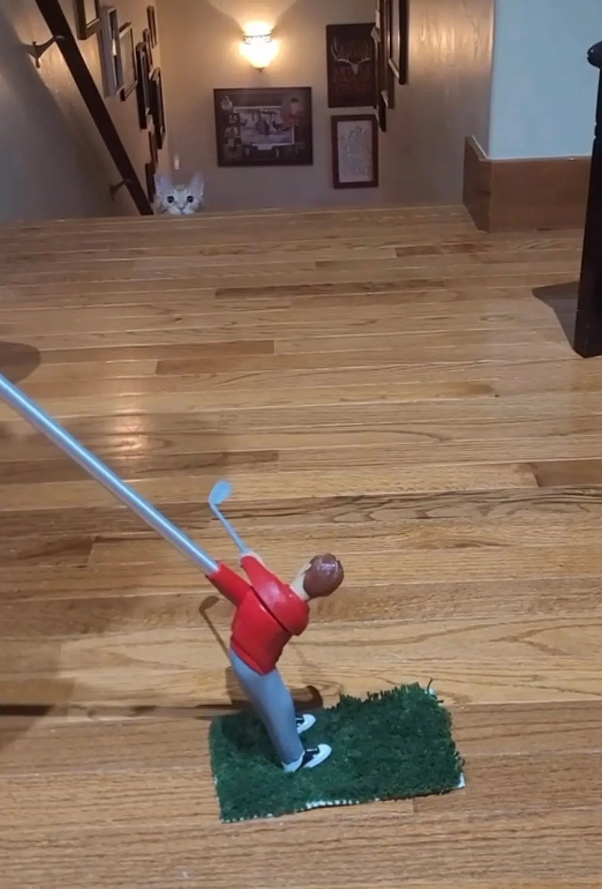 Mini Golf Man