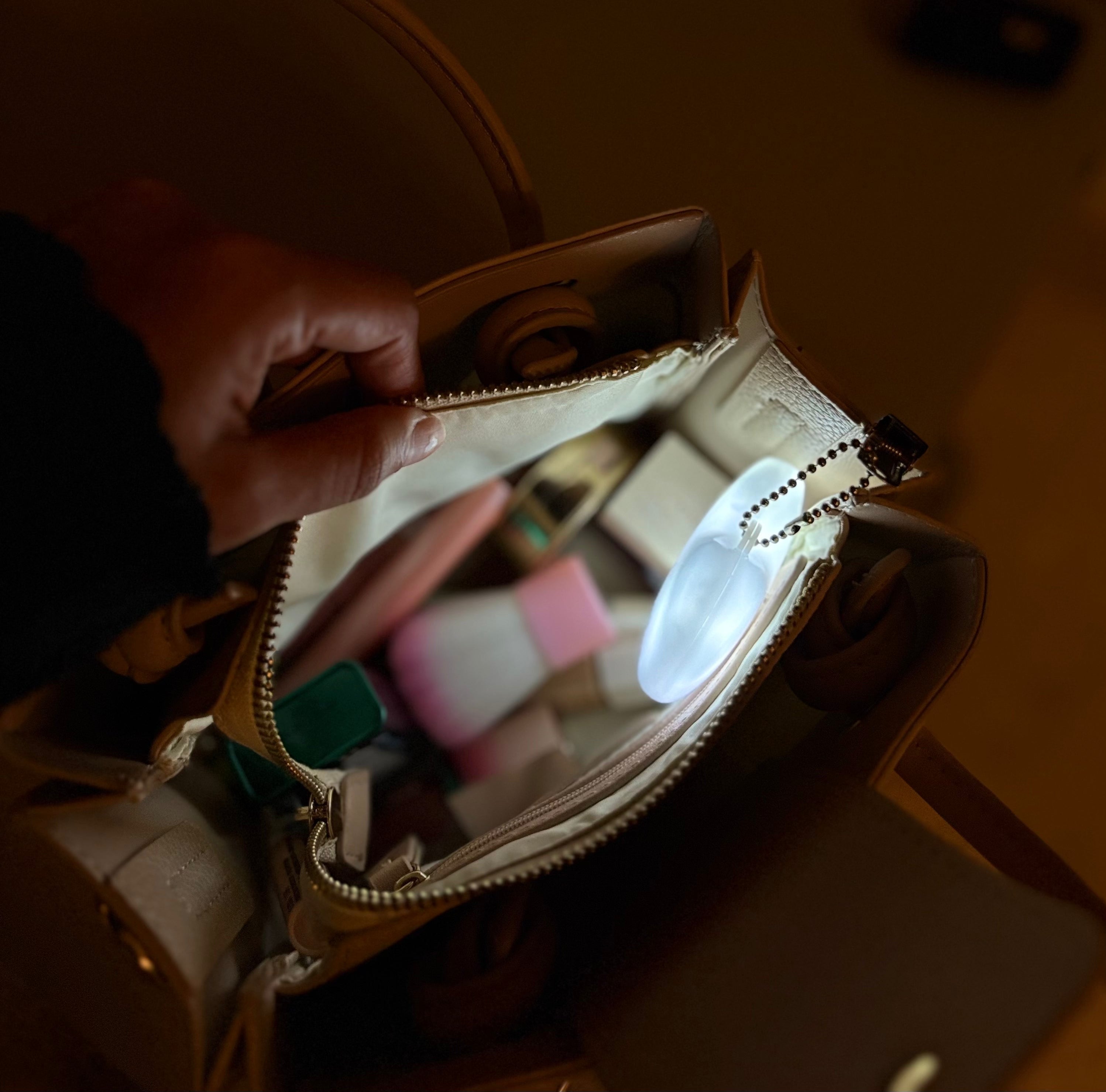 Purse Light Handbag