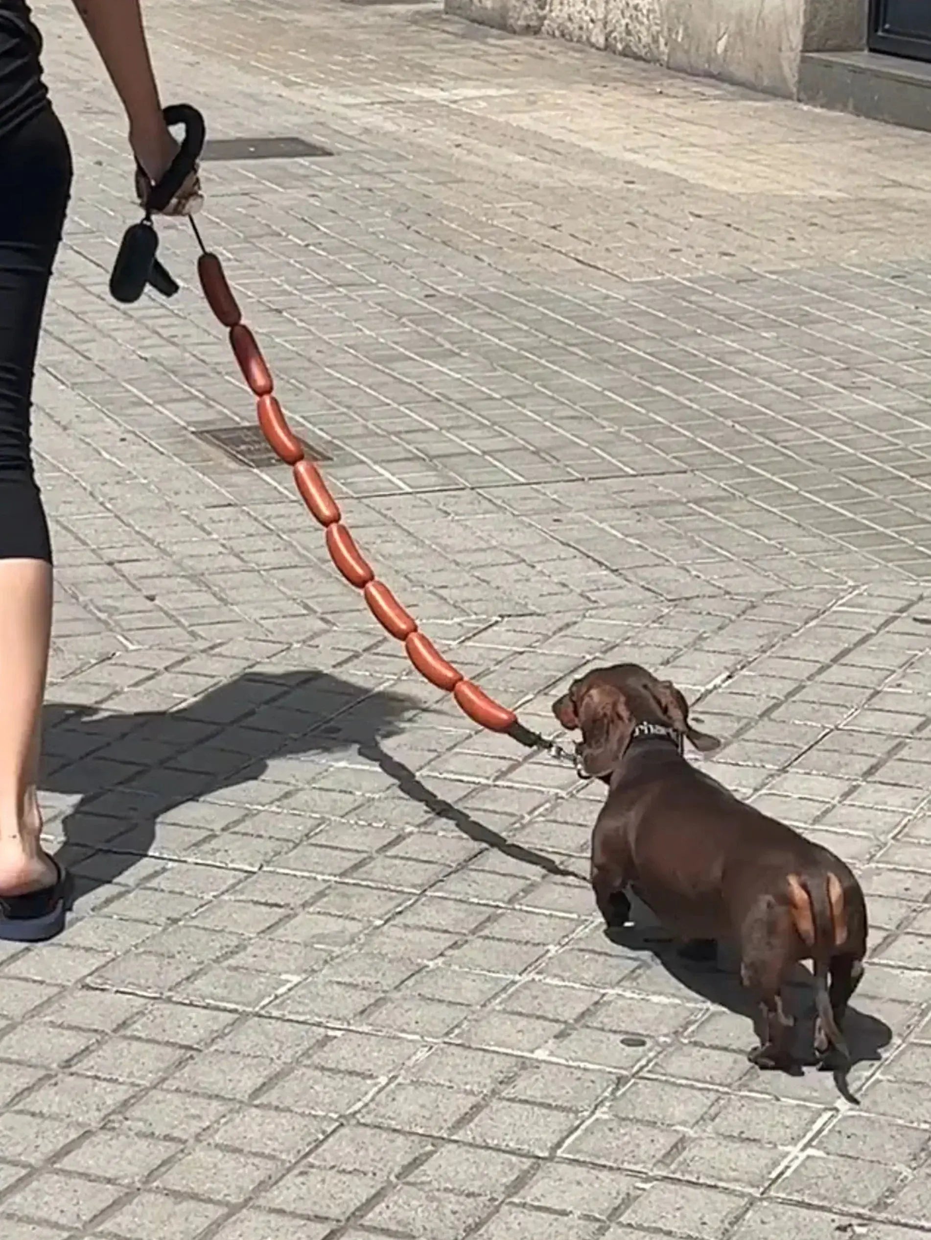 GIANT SAUSAGE DOG LEASH Trendslana