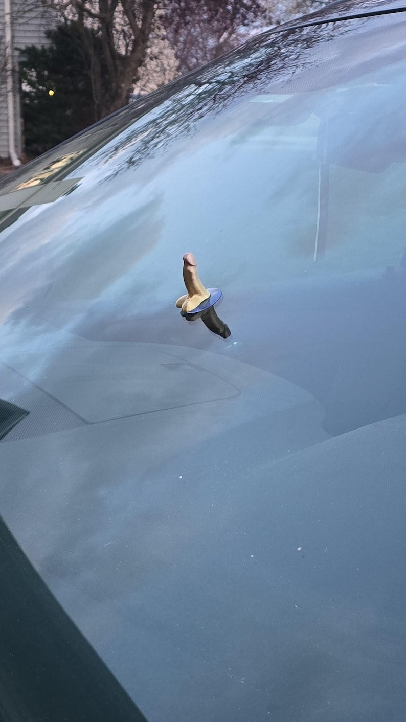 NICE PARKING" WEENIE SUCTION CUPS