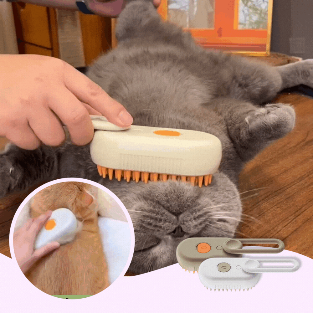 3-in-1 Water Cat Brush