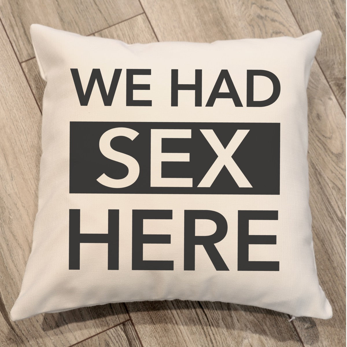 We Had $ex here/And here Pillows